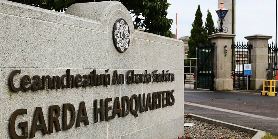 Gardai seize cannabis plants i...