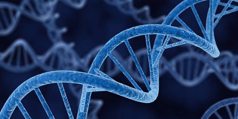 Hopes for Irish DNA database b...