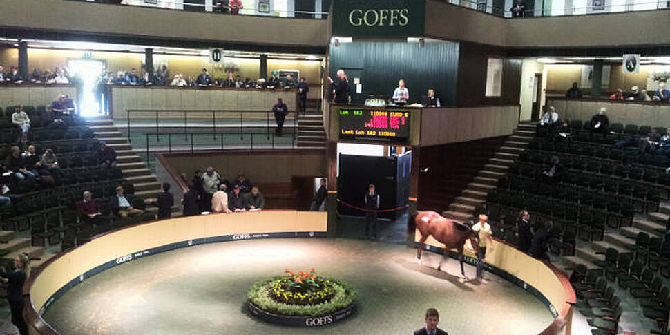 Cream of the crop at Goffs