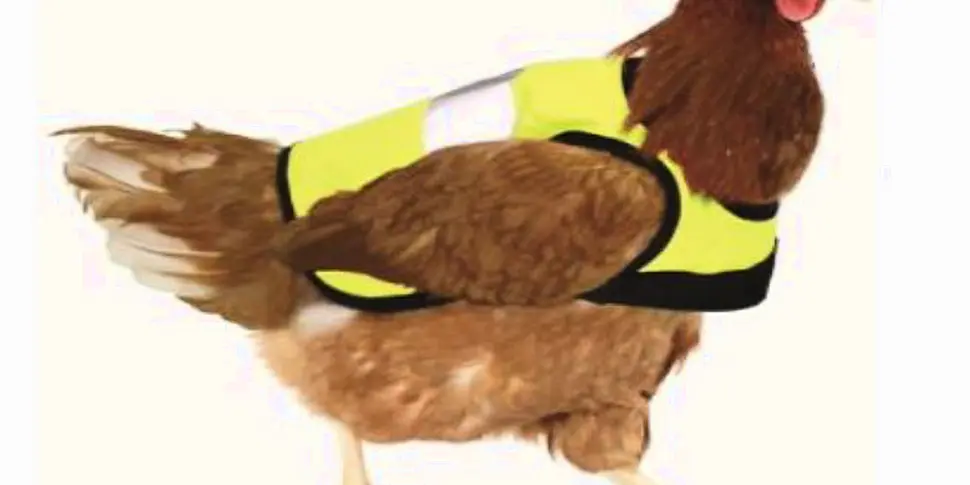 VIDEO: Company create high-vis...