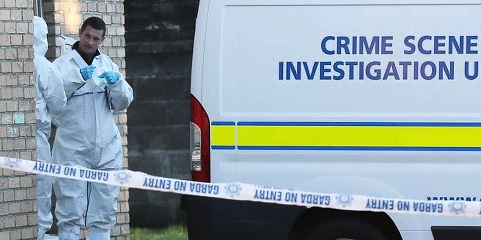 Gardaí arrest man over Finglas...