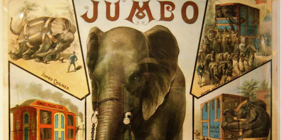 The real Jumbo the elephant 