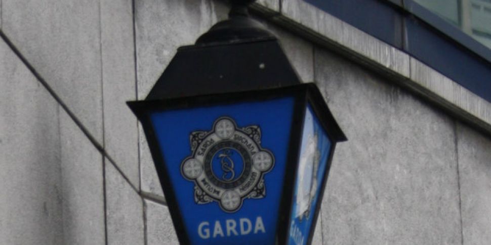 Gardai investigating child roa...