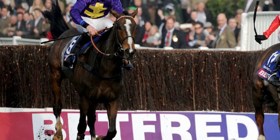 Gold Cup champion Lord Winderm...