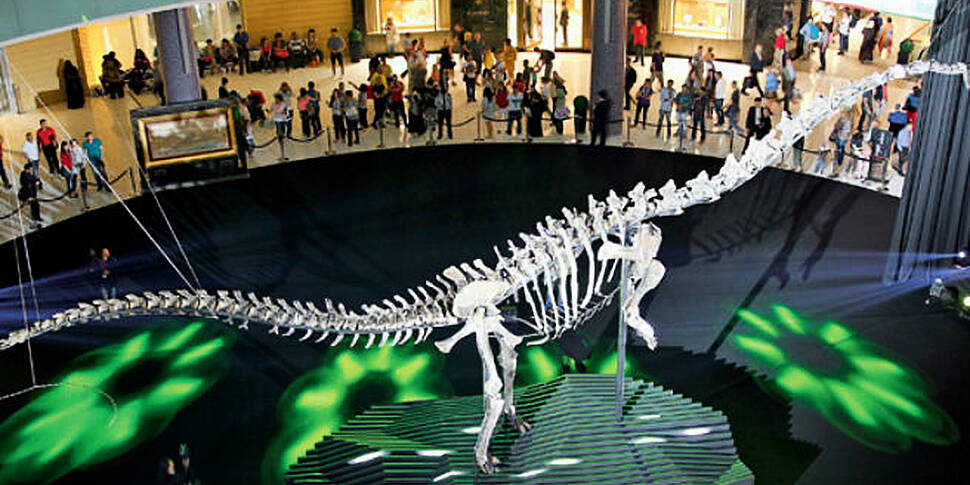 155 million year-old dinosaur...