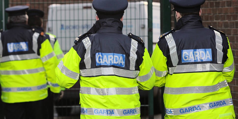 Chief Inspector of the Garda I...