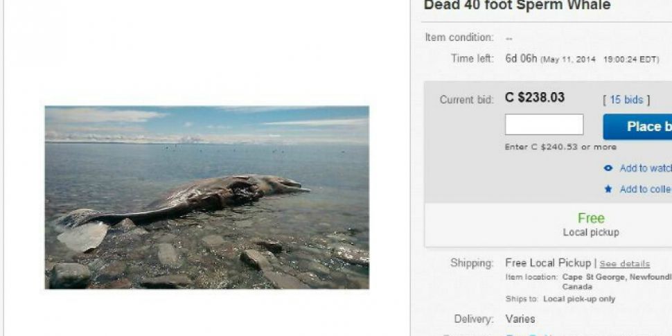 eBay shuts down sale of whale...