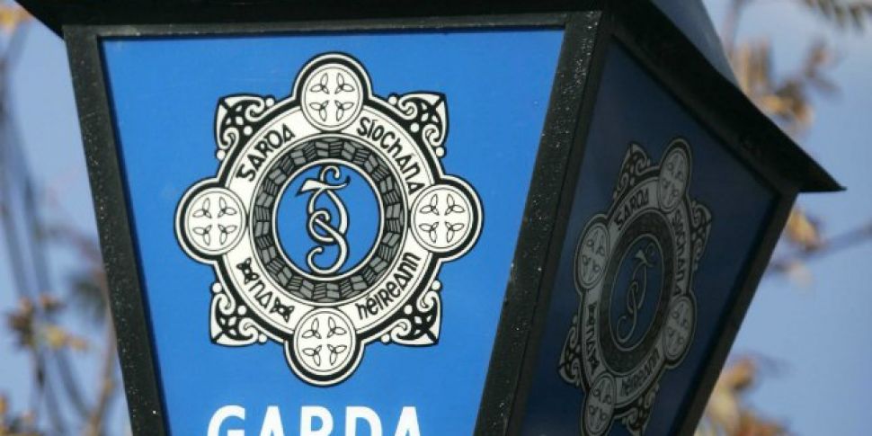 Gardai Seize Cannabis Plants W...