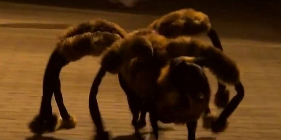 A giant mutant spider dog make...