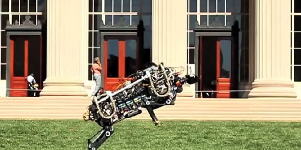 This robotic cheetah can jump...