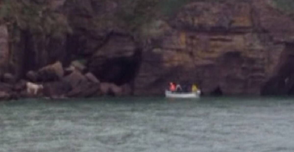 Lifeboat crew rescues stranded cow in Co Waterford | Newstalk