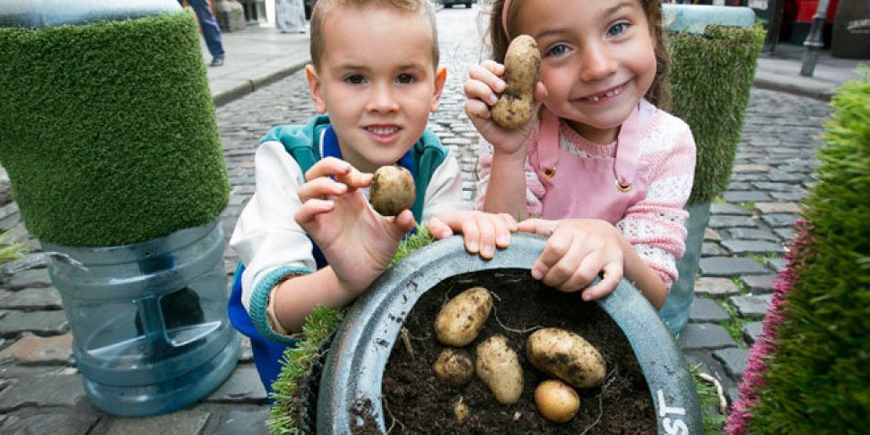 Ireland celebrates National Po...