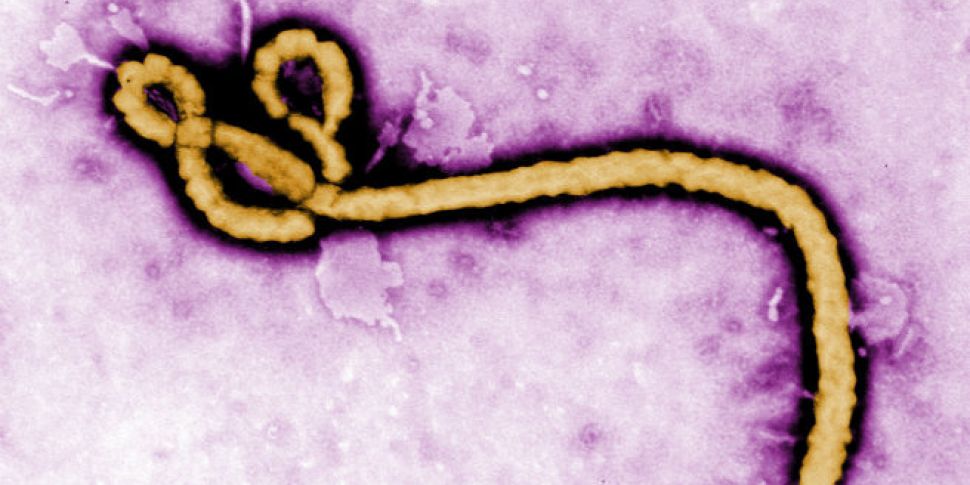 Briton dies of suspected Ebola...