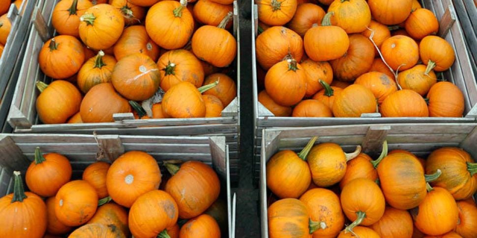 Irish pumpkin sales to see sha...