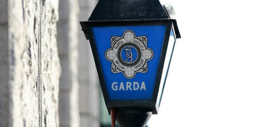Gardaí appeal over missing tee...