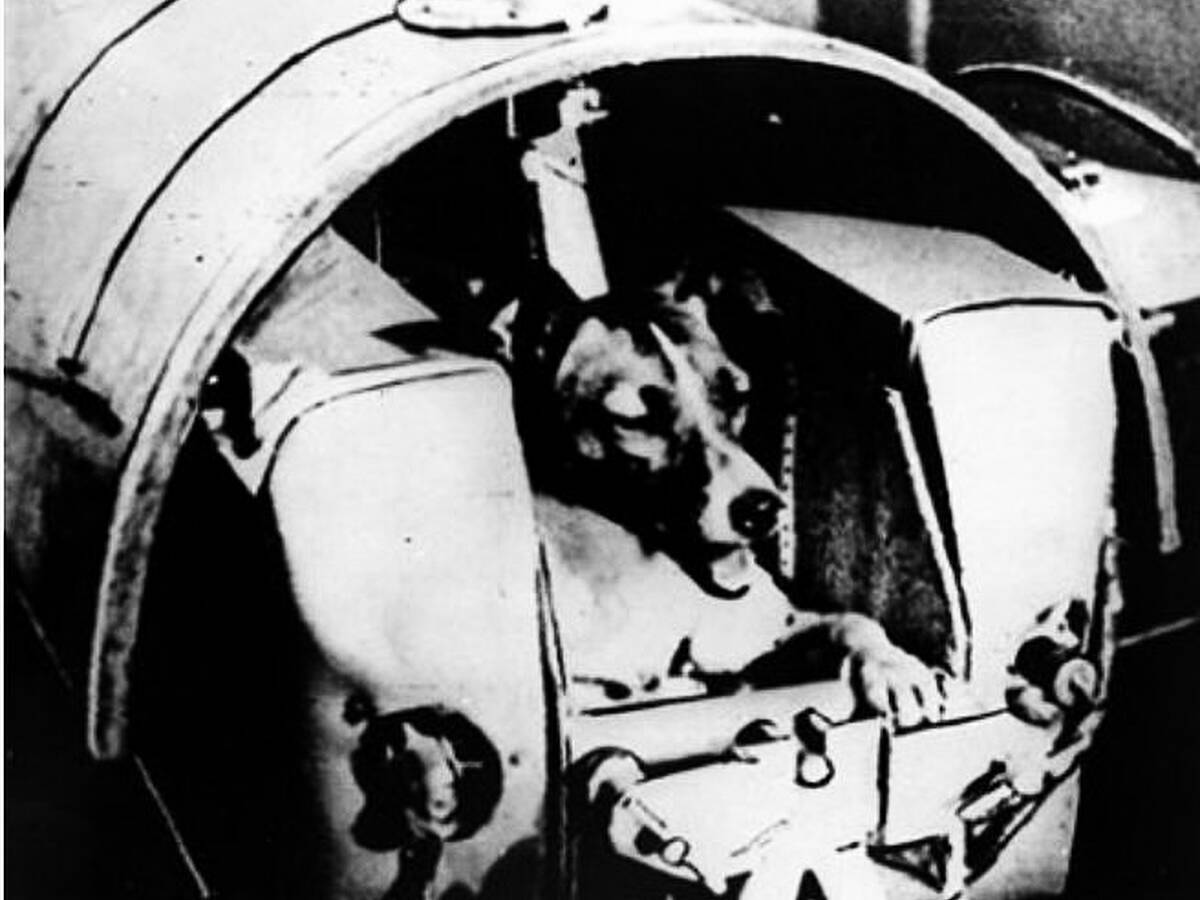 did dogs go to space before humans