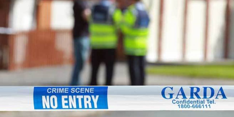 Gardaí looking for witnesses t...