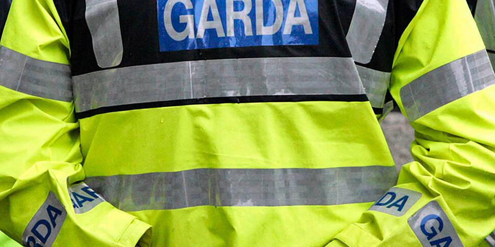 Two gardaí reprimanded for dri...