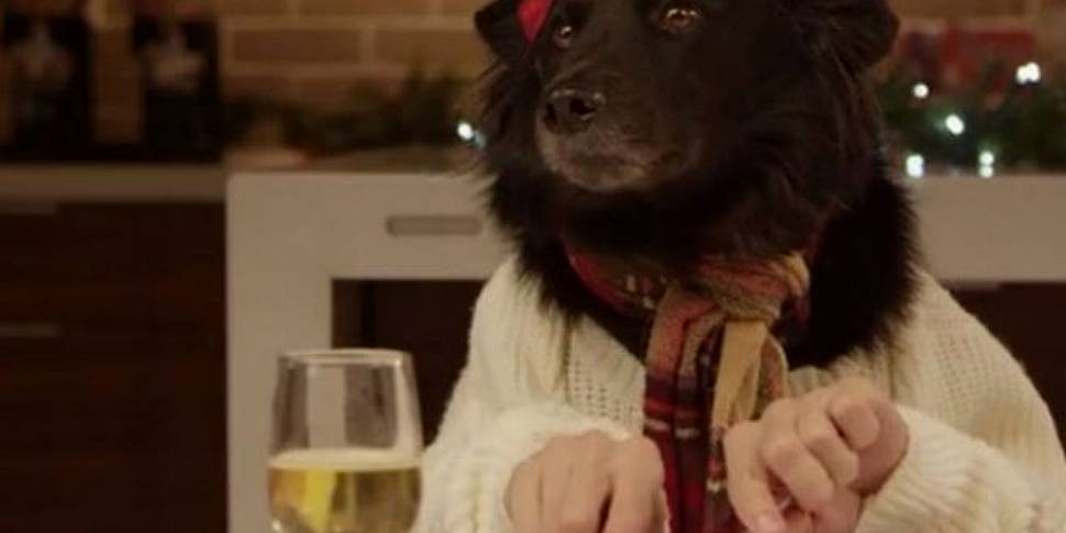 VIDEO: Dogs and cats dining to...