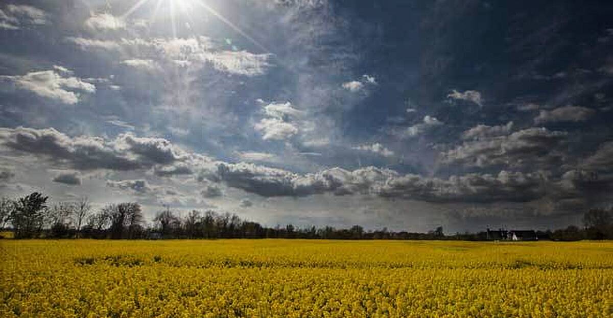 Wednesday's Weather: Temperatures Are Staying High | Newstalk