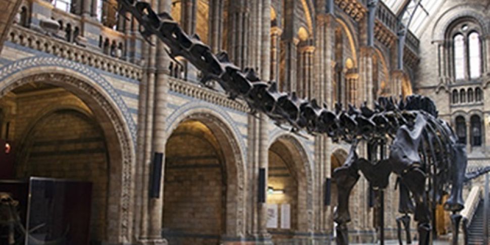 Dippy bows out - UK&#39;s...