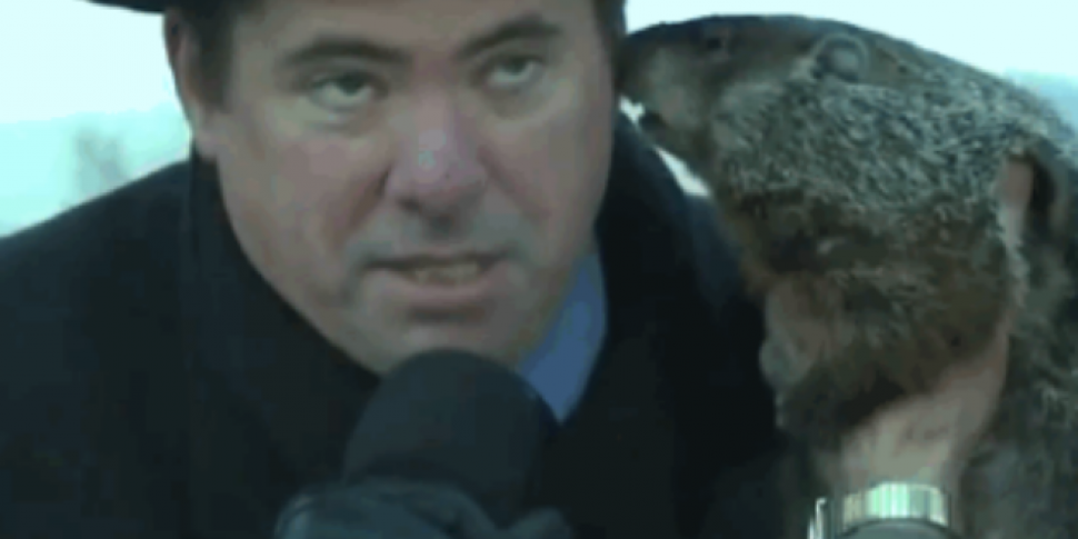 Mayor asks groundhog for winte...