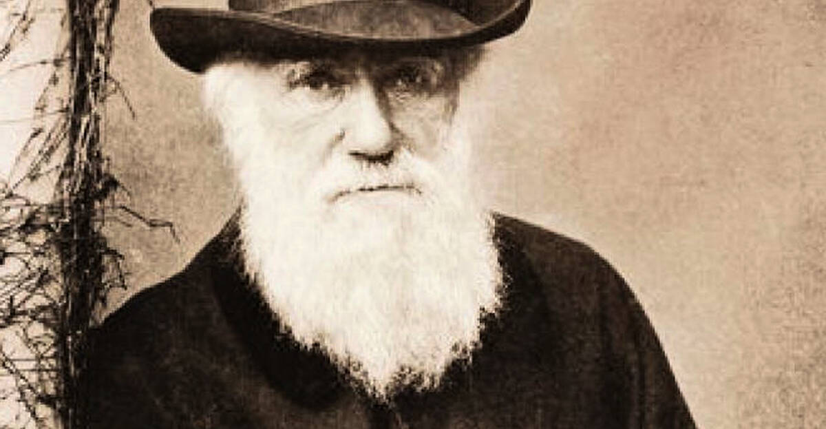 The Right Hook: How did the Church of England respond to Charles Darwin ...