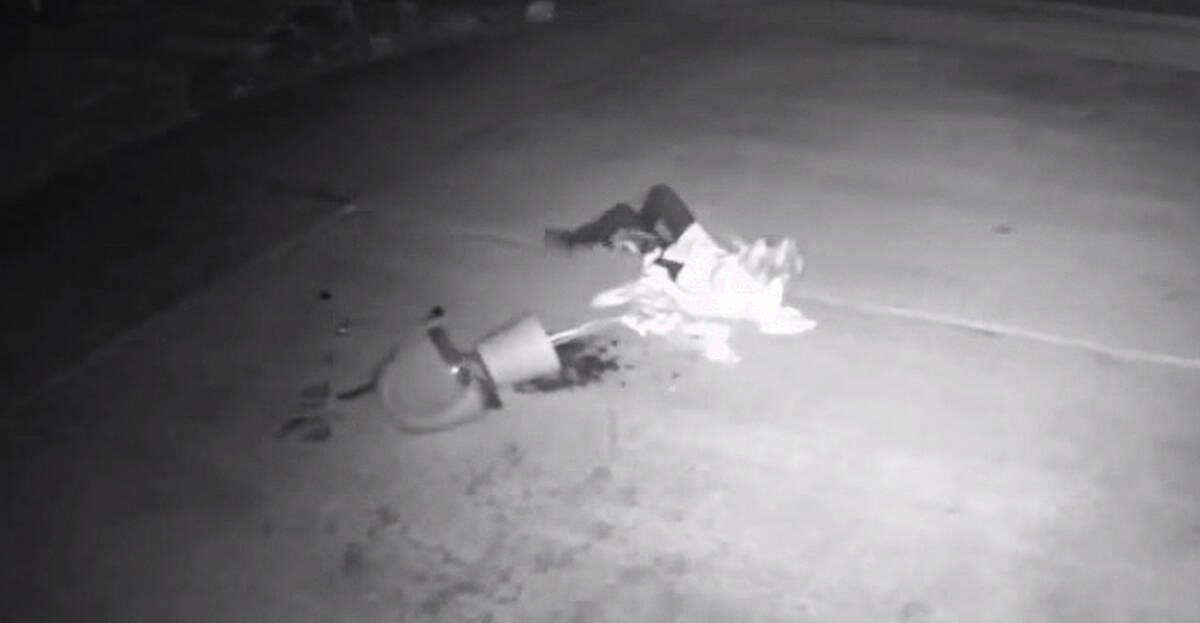 VIDEO: Flower pot bandit takes a tumble | Newstalk