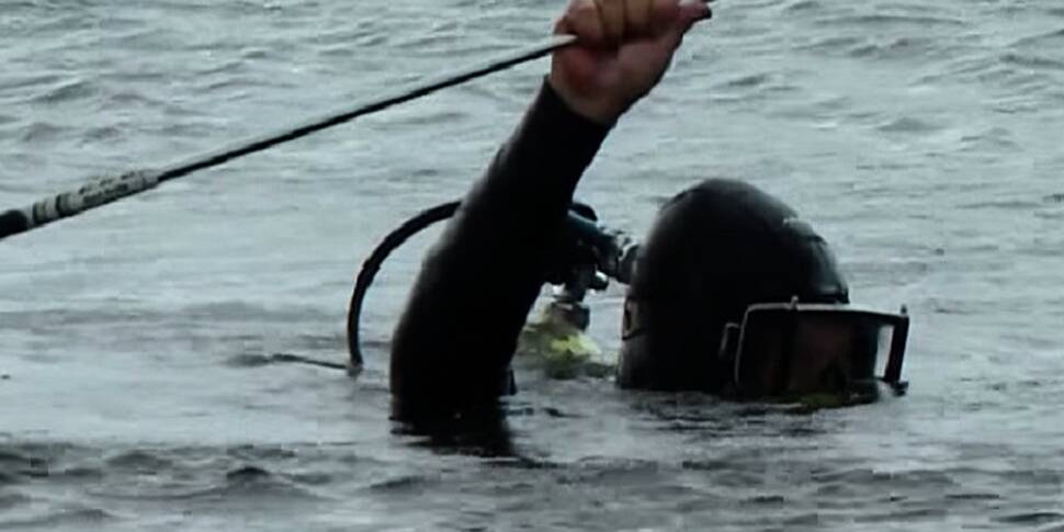 Watch: Scuba diver recovers Ro...