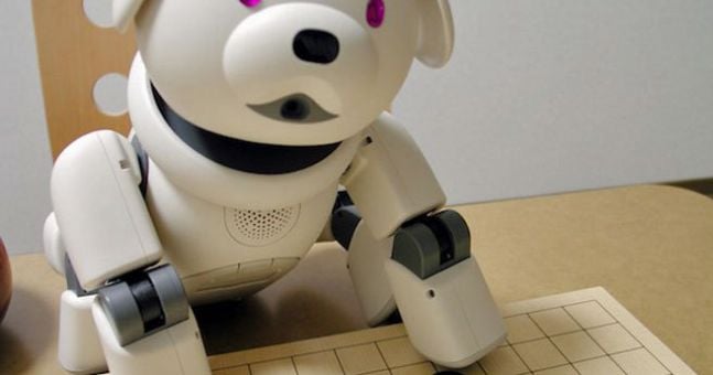 Would you rather have a robotic pet? Give it ten years | Newstalk