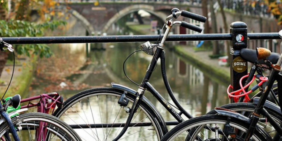 Dutch city plans social-welfar...