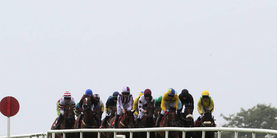 The Galway races get underway...