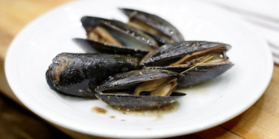 Mussels recalled from stores n...