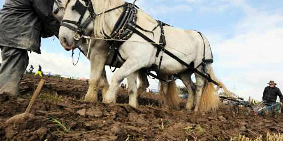 Heading to the Ploughing? Come...