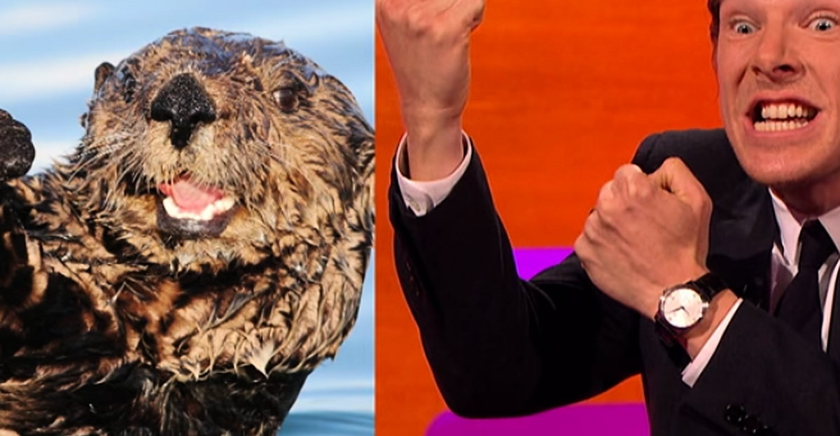 otters that look like benedict cumberbatch