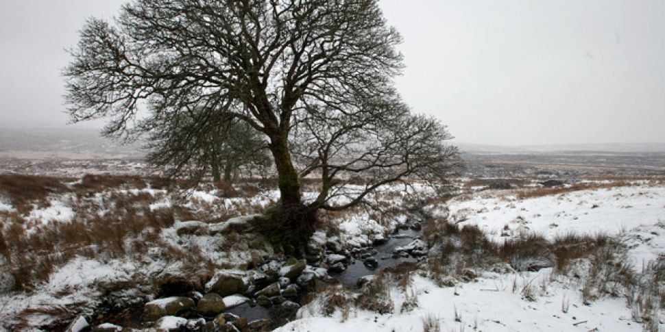 Snow spotted falling in Clare...