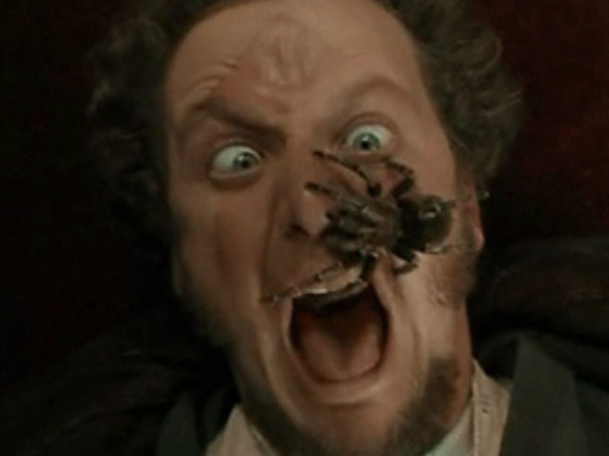 I just found out Daniel Stern was not only hilarious in “Rookie of