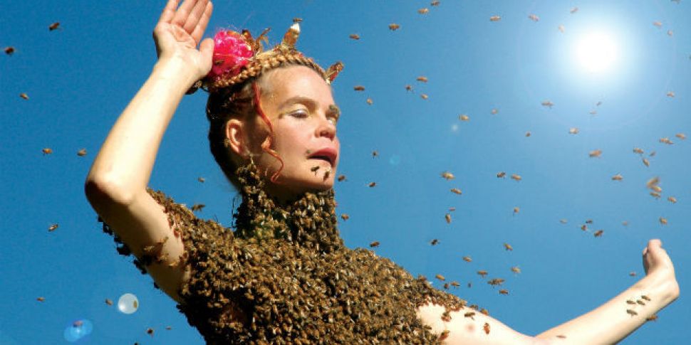 The Bee Queen and her blouse o...