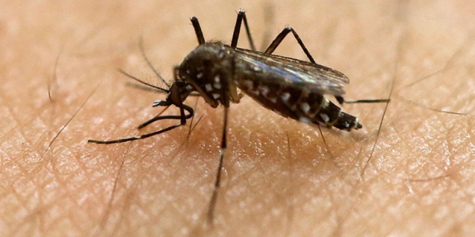 First European case of Zika vi...