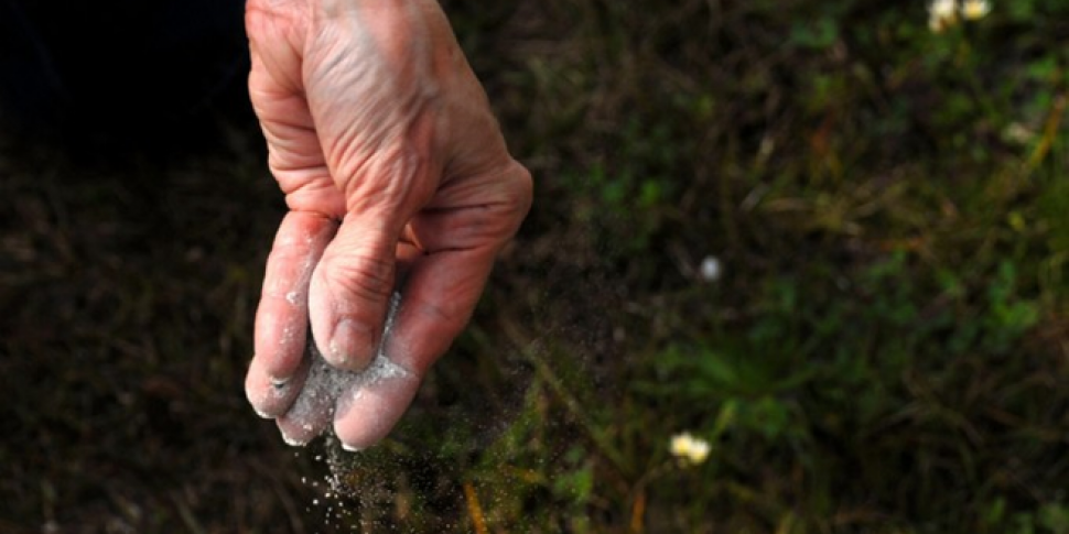 Ashes to ashes - How the Irish...