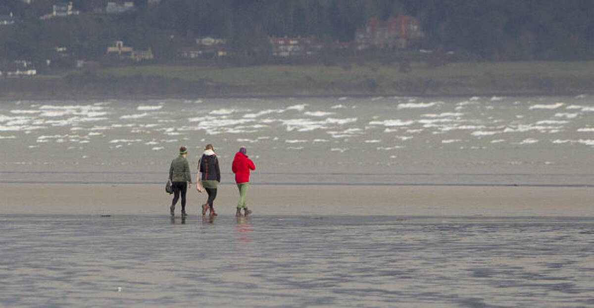 Friday's weather: A cold but bright day with sunny spells and showers ...
