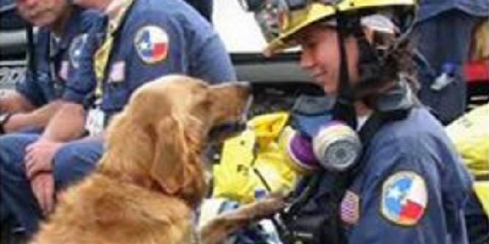 Last-known 9/11 rescue dog die...