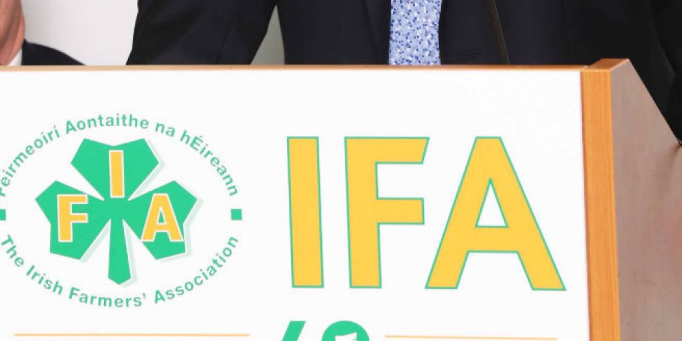 IFA says live export trade to...