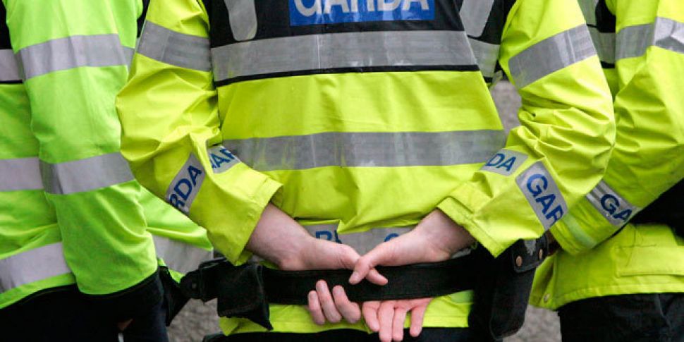 Man (24) arrested in Dublin af...