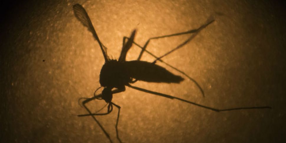 New Zika case could prove it&a...