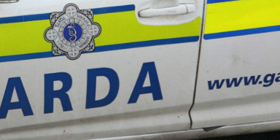 Garda appeal for help with mis...