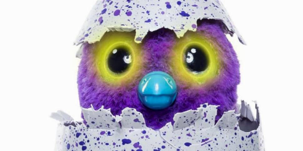 From Elsa to Hatchimals: Why d...