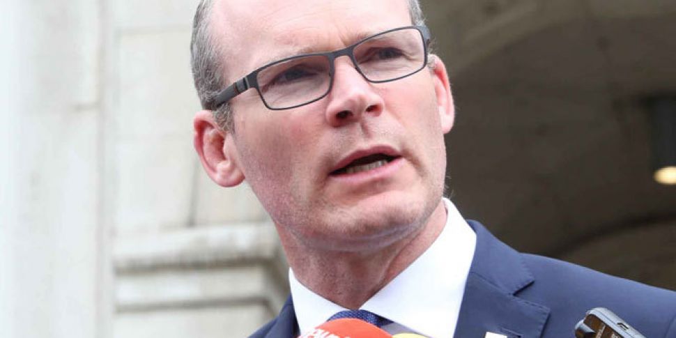 Coveney sets out opposition to...