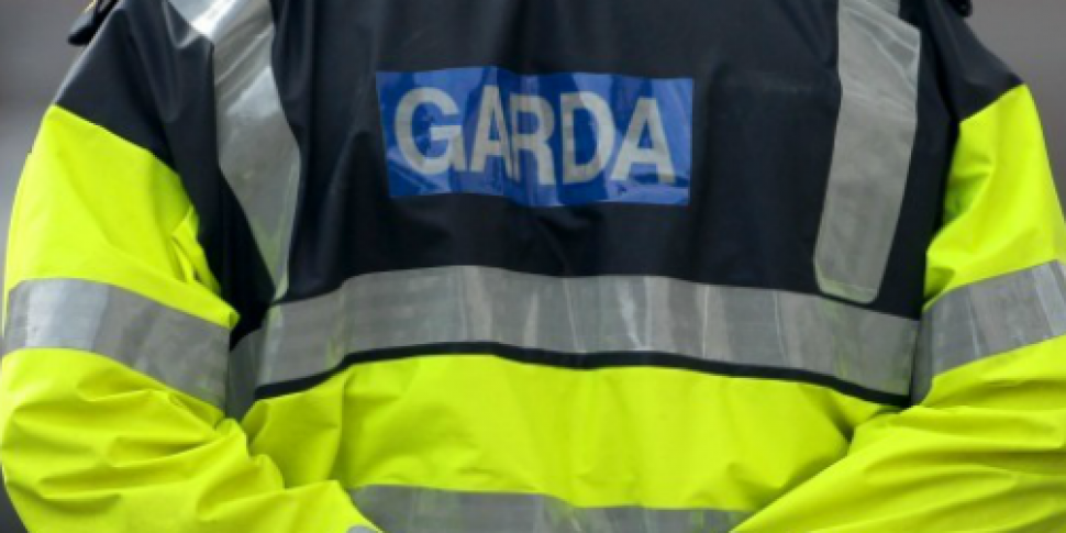 Gardaí seize 200 cannabis plan...