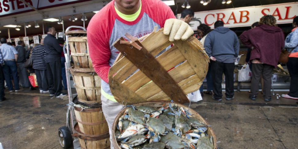 Plastics in seafood could be d...